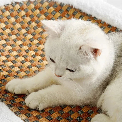 Lit Pour Chat Premium Avec Plaque À Gratter