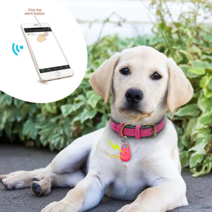Suivi Gps Pour Animaux