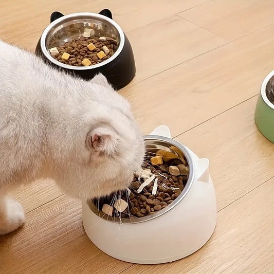 Bol Surélevé Pour Chats