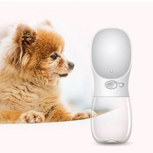 Gourde Pour Chiens En Déplacement