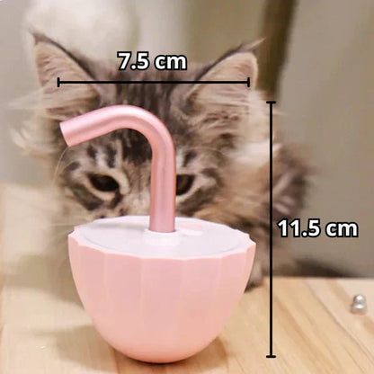 Jouet Laser Pour Chats