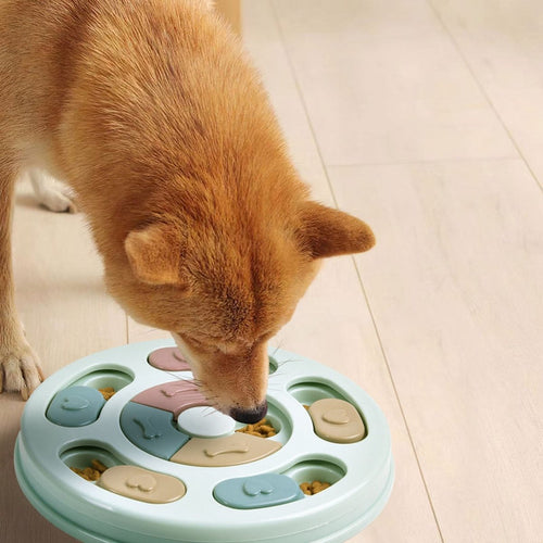 Nourriture d'Occupation Ronde Animaux Plus