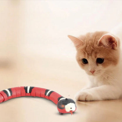 Snakey - Jouet Interactif Pour Chats