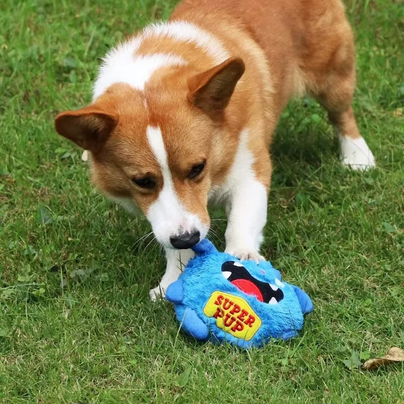 La peluche pour chien | l'équipe ZoomZiggy™