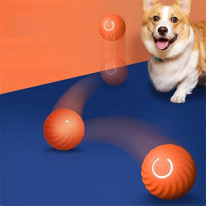 Balle À Sauter Interactive Pour Chiens
