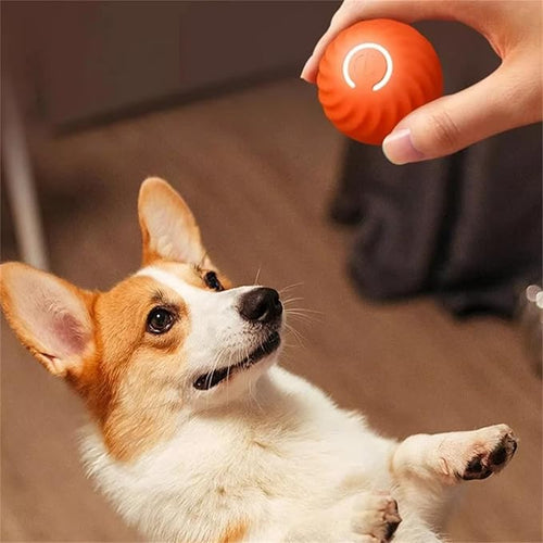 Balle À Sauter Interactive Pour Chiens