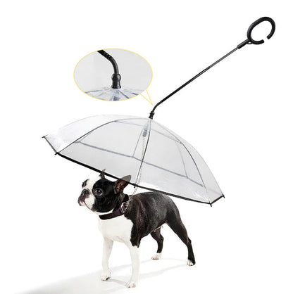 Parapluie Transparent pour Chiens Animaux Plus